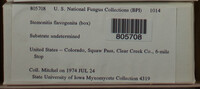 Image Associated With the Occurence